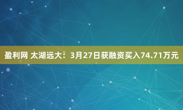 盈利网 太湖远大：3月27日获融资买入74.71万元