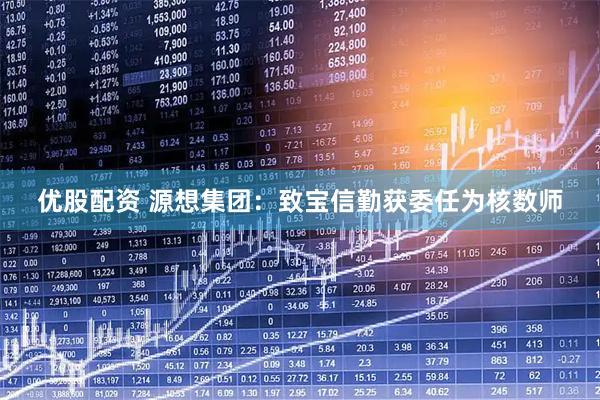 优股配资 源想集团：致宝信勤获委任为核数师